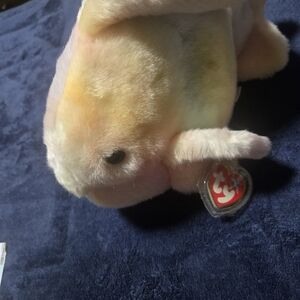 TY BEANIE BUDDY CORAL THE FISH, 2000, NEW, MWMTS BeanieTy